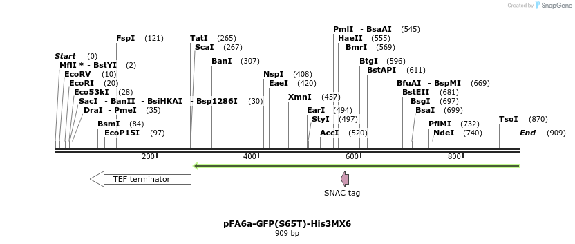 56400_map