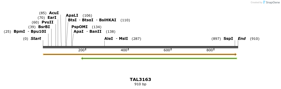 56401_map