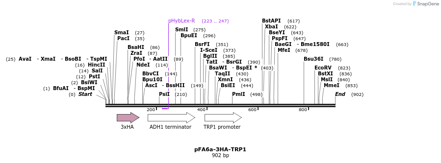 56402_map