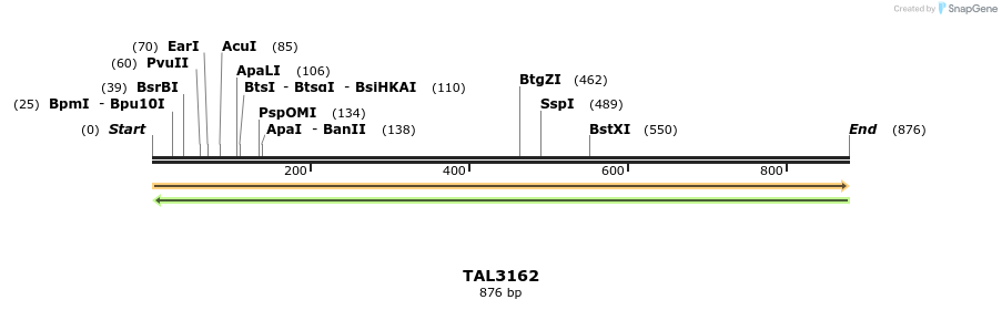 56403_map