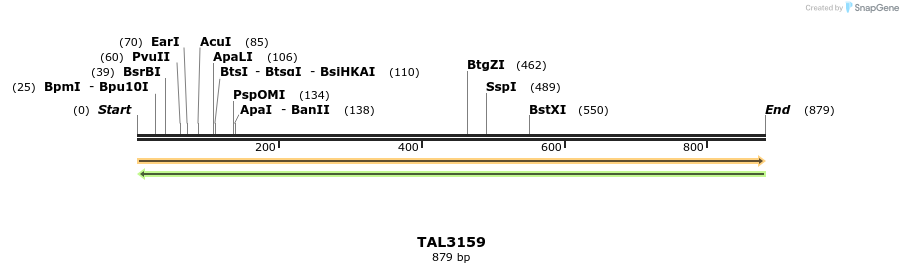 56405_map