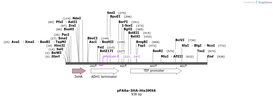 56406_map