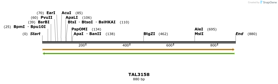 56407_map