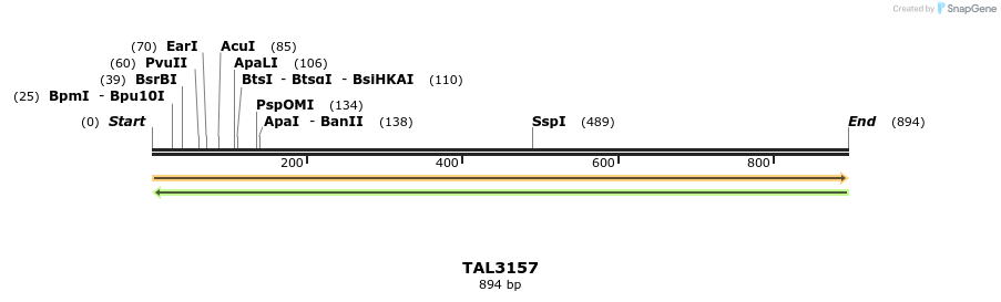 56408_map