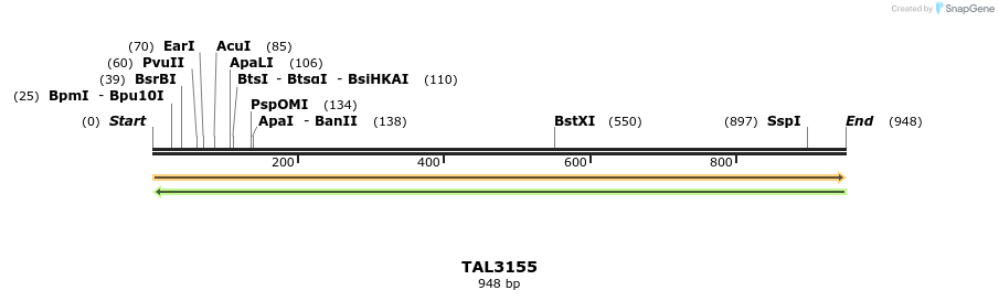56409_map