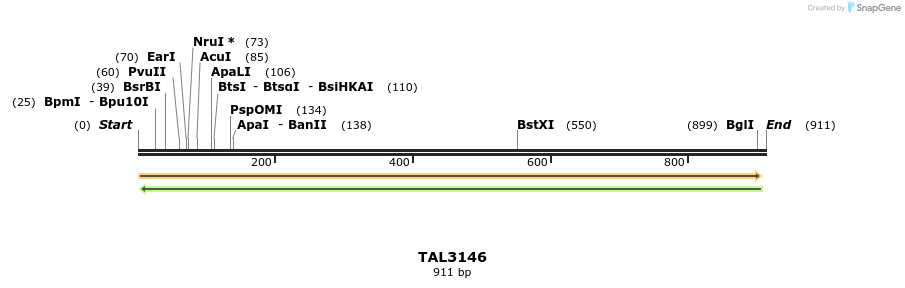 56411_map