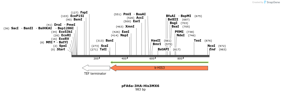 56413_map