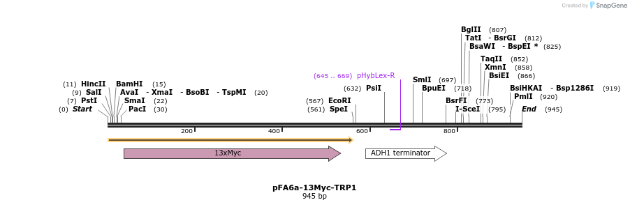 56414_map
