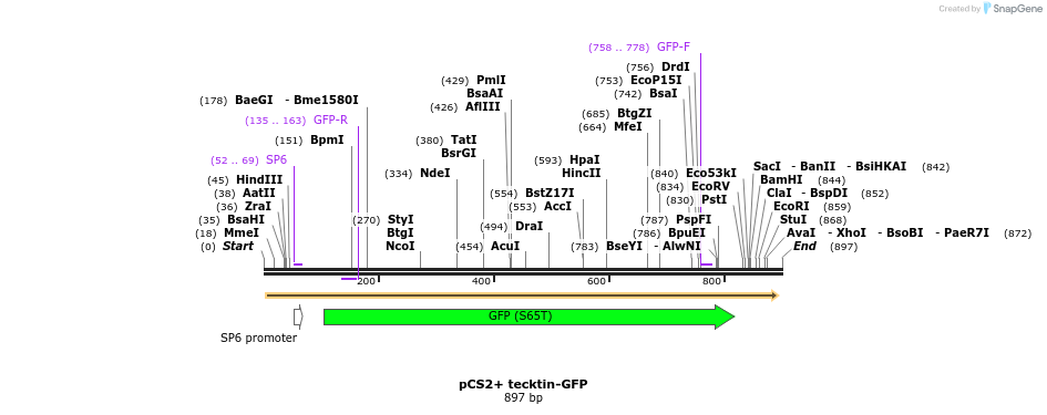 56415_map