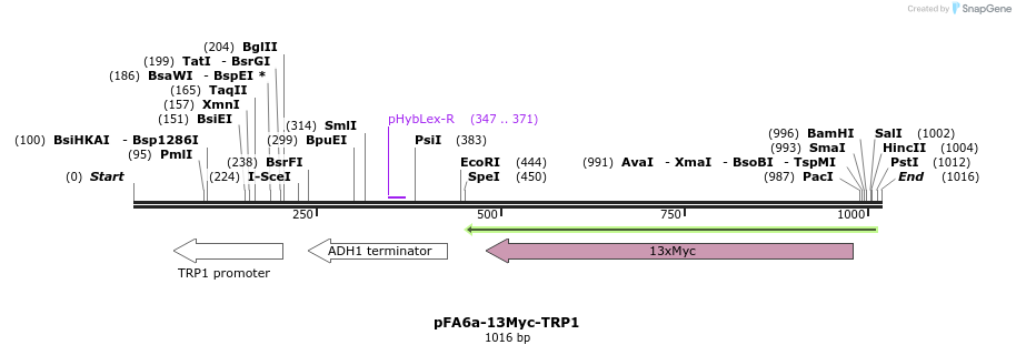 56418_map