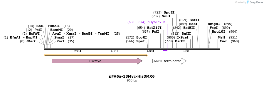 56420_map