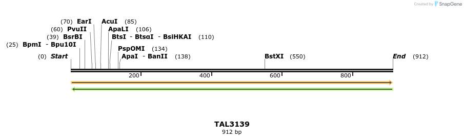 56421_map