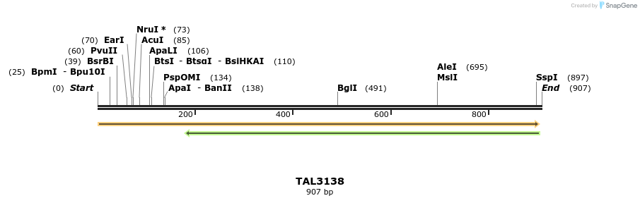 56422_map