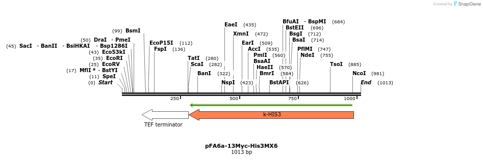 56424_map
