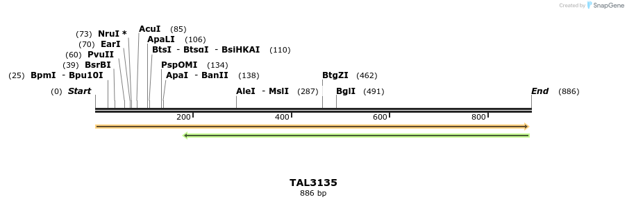56426_map