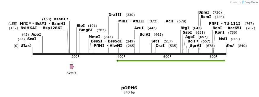 56427_map