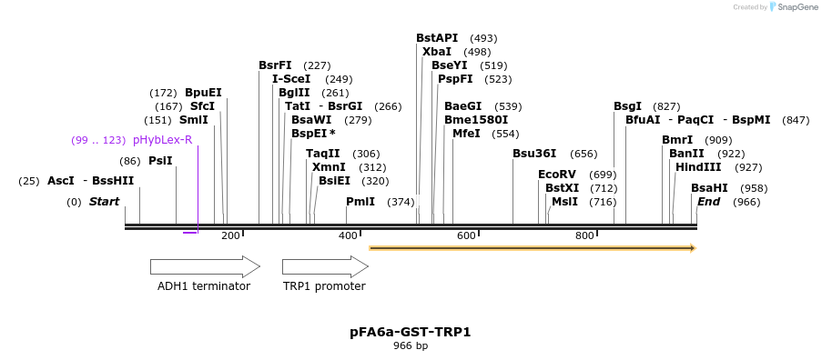 56428_map