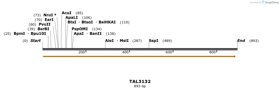 56431_map