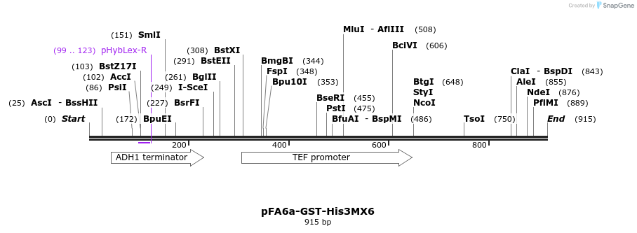 56432_map
