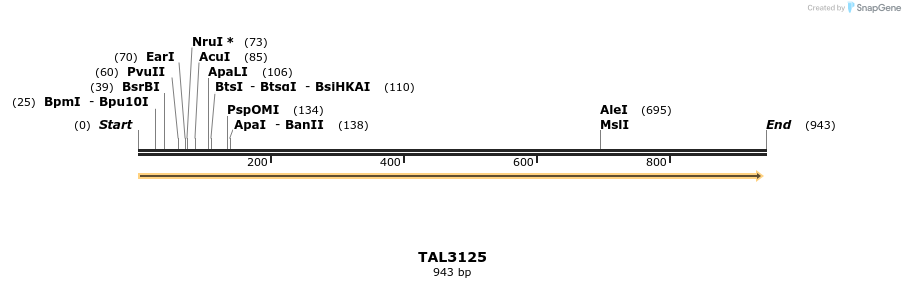 56433_map