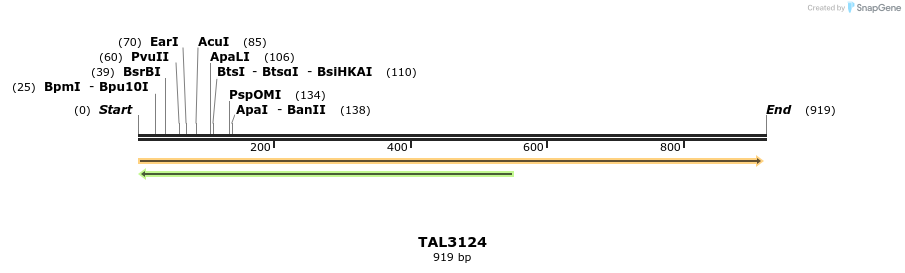 56434_map