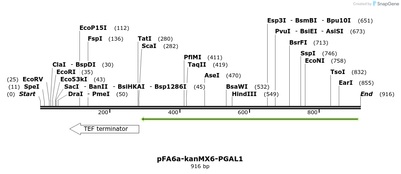 56437_map