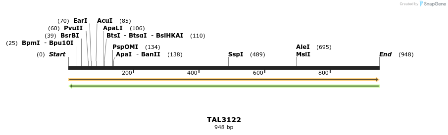 56439_map