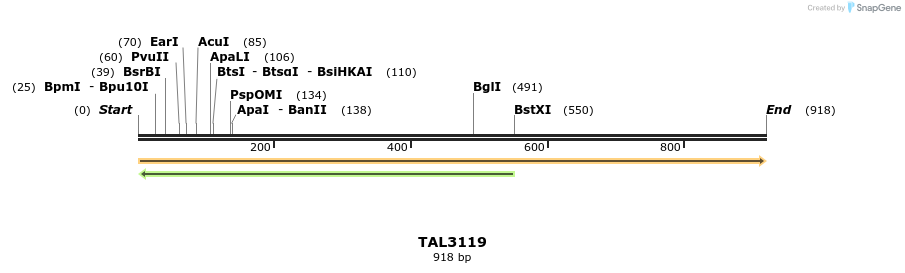 56444_map
