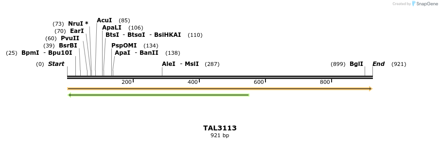 56448_map