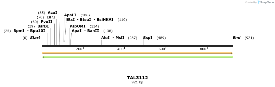 56449_map