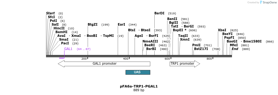 56451_map