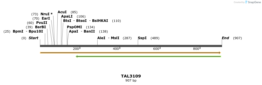 56453_map