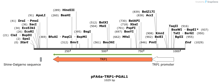 56454_map