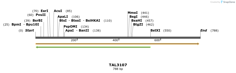 56455_map