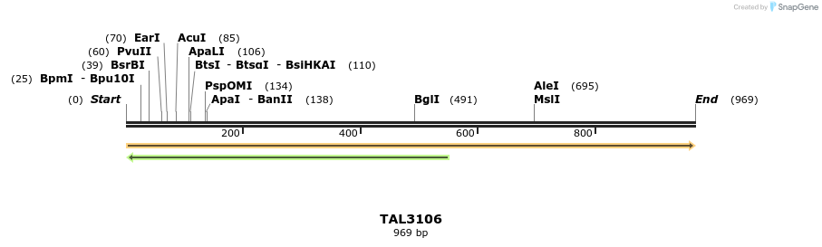 56458_map