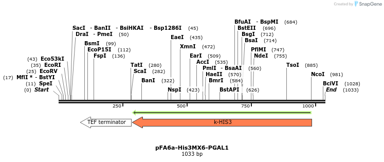 56462_map