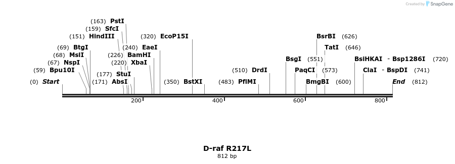 56468_map