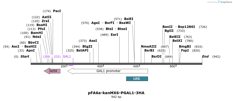 56471_map