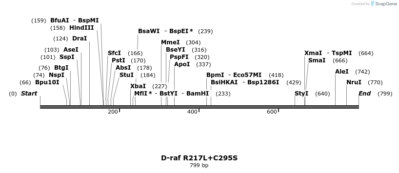 56473_map