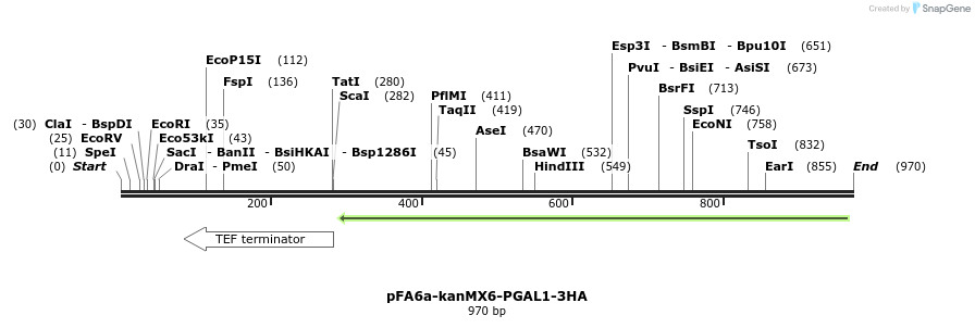 56477_map