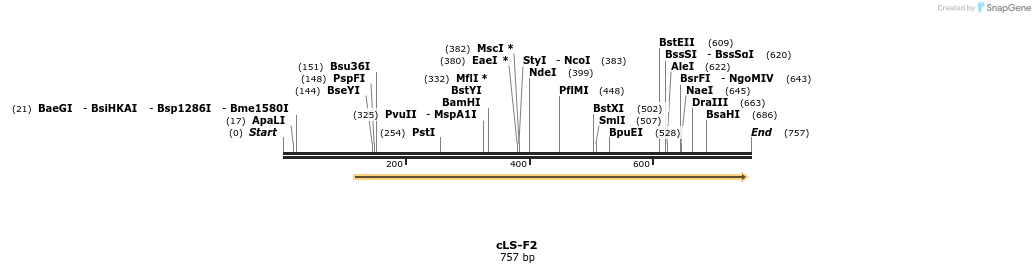 56478_map