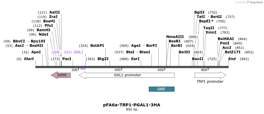 56479_map