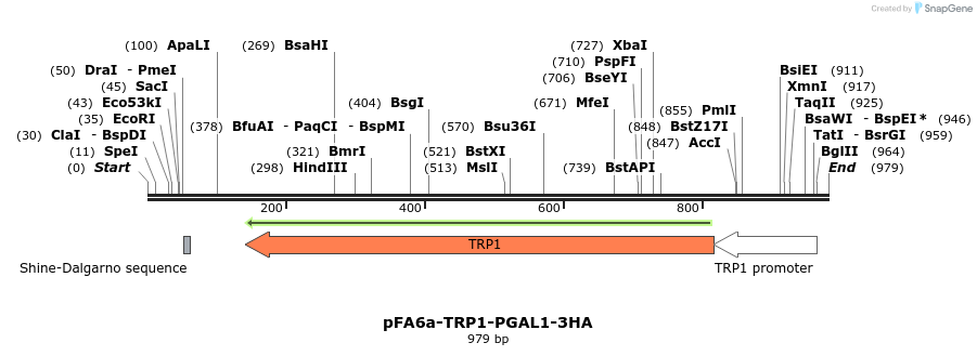 56481_map