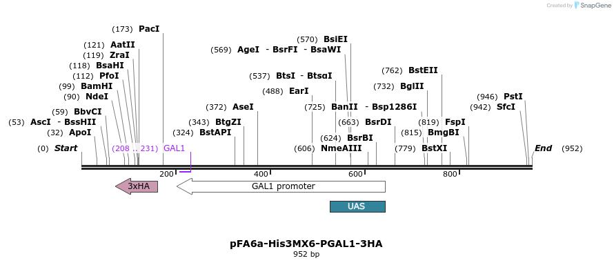 56482_map