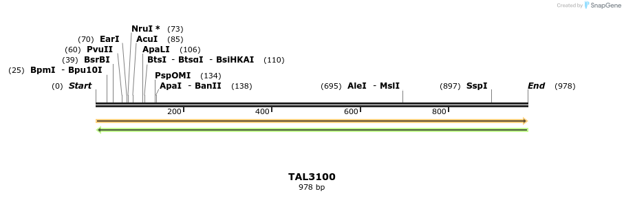 56484_map