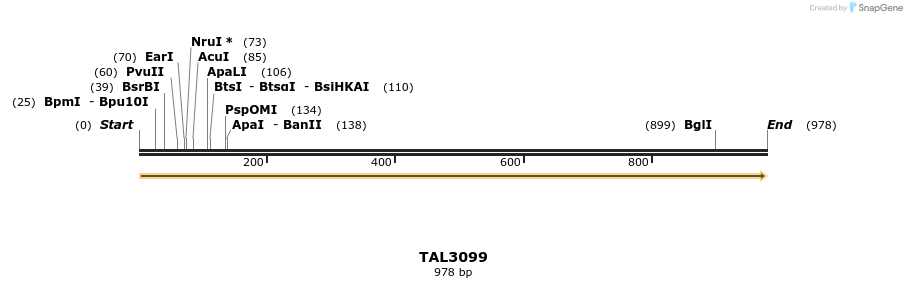 56485_map