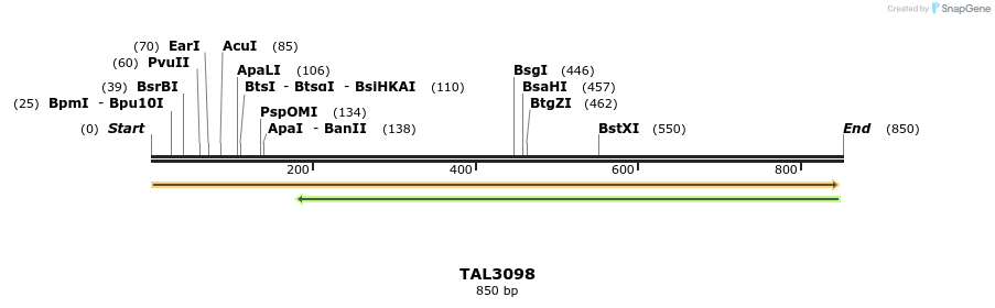 56486_map