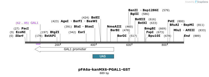 56487_map