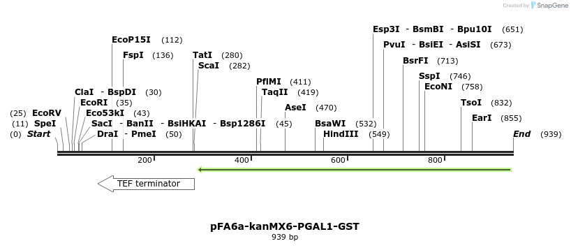 56488_map
