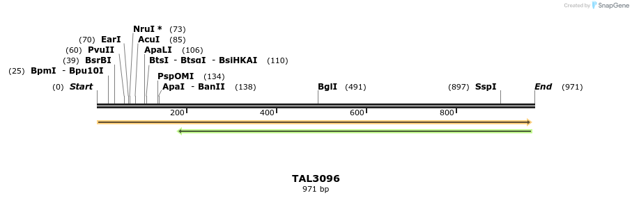 56492_map